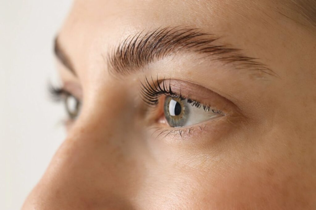 Lash and Brow Care Tips That Actually Work in Dallas 2026