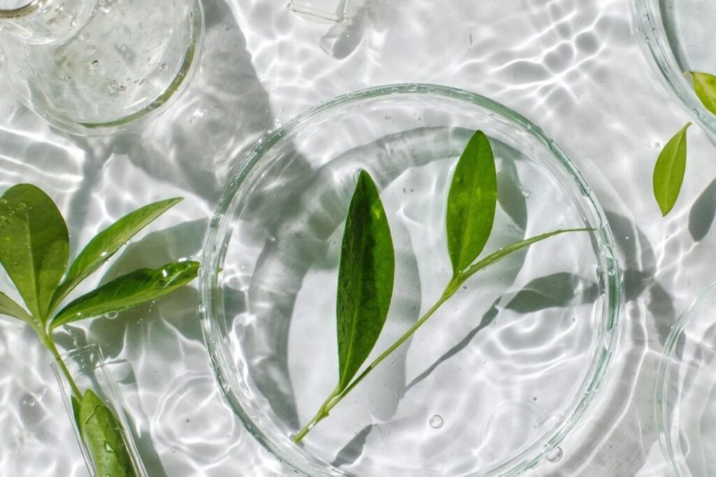 Skincare Ingredients 101 at Glow Up Studio Dallas in 2026